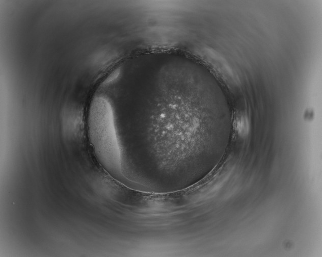 X0000102521252200808221833