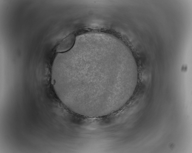 X0000102521253200808221833