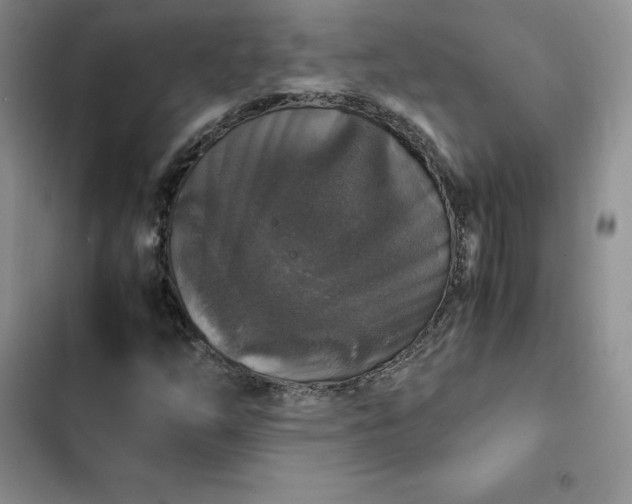 X0000102521254200808221833