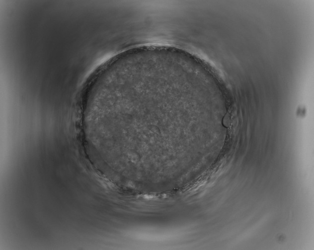 X0000102521255200808221833