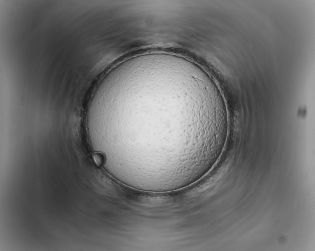 X0000102521257200808221833