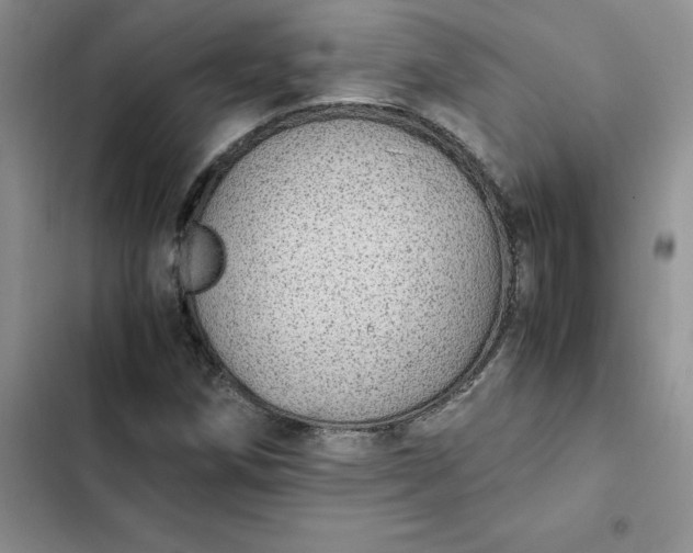 X0000102521258200808221833