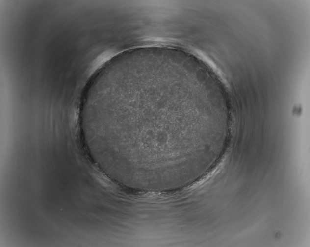 X0000102521259200808221833