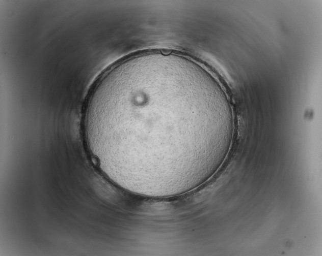 X0000102521260200808221833