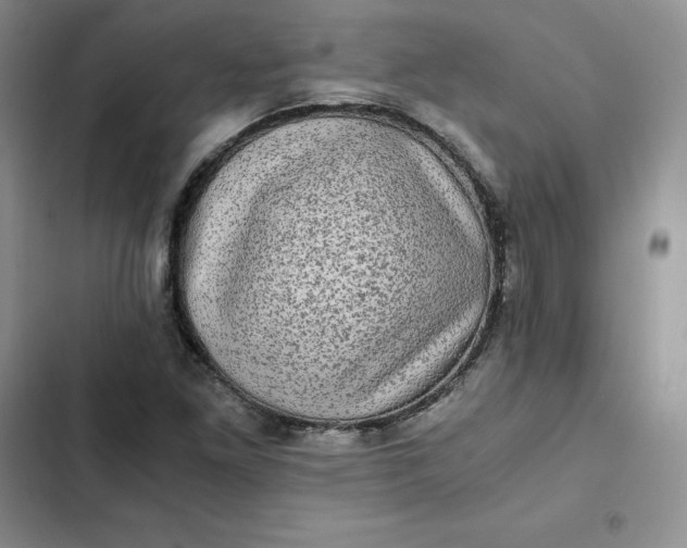 X0000102521261200808221833