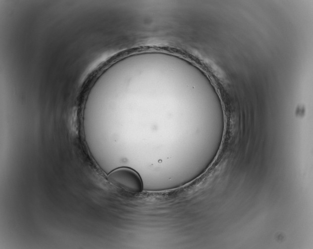 X0000102521262200808221833