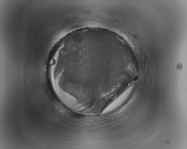 X0000102521263200808221833