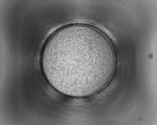 X0000102521264200808221833