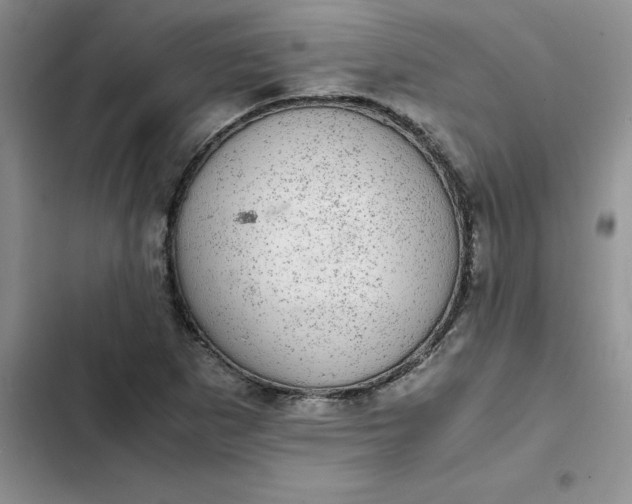 X0000102521265200808221833