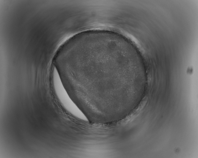 X0000102521267200808221833