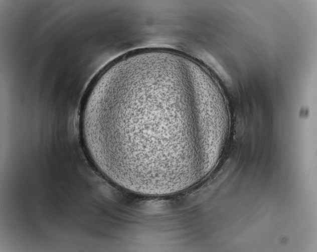 X0000102521268200808221833