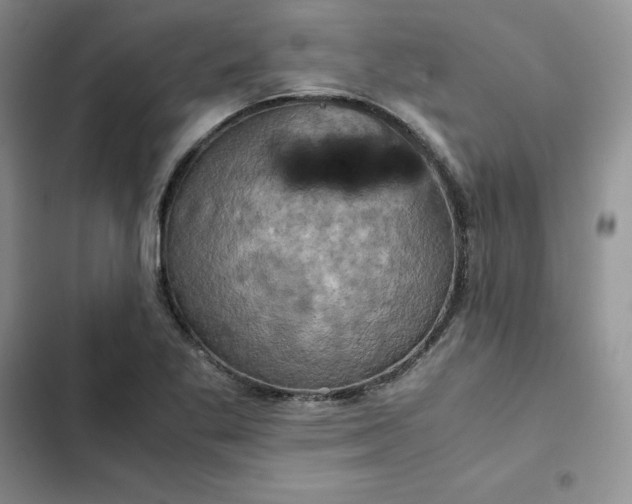 X0000102521269200808221833