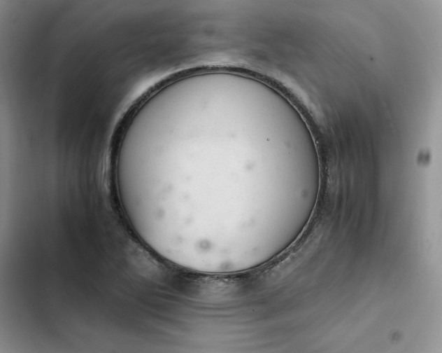 X0000102521270200808221833