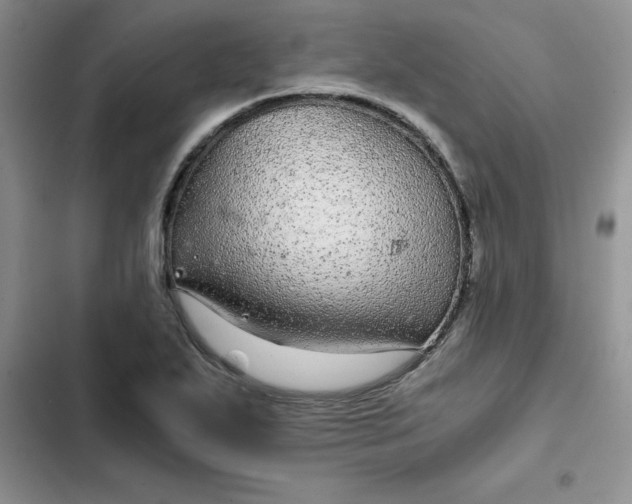 X0000102521271200808221833