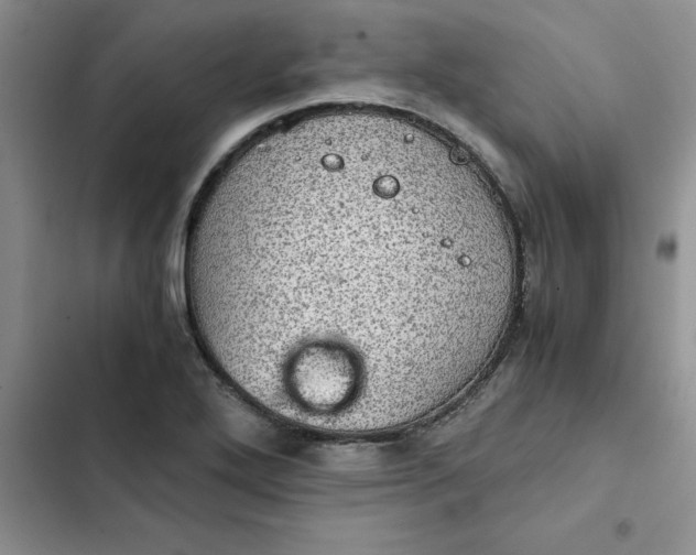 X0000102521272200808221833