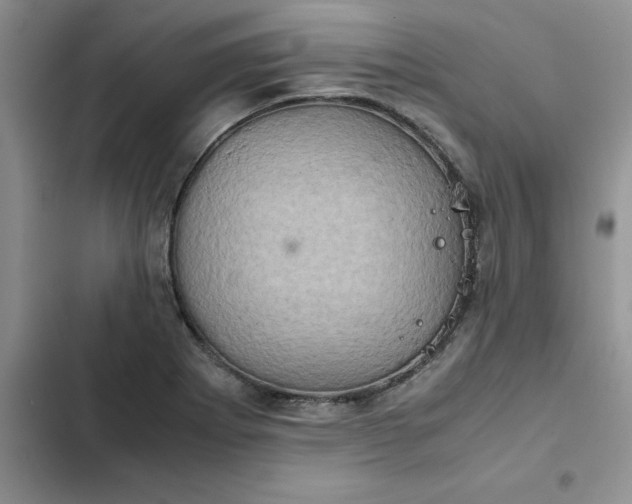 X0000102521273200808221833