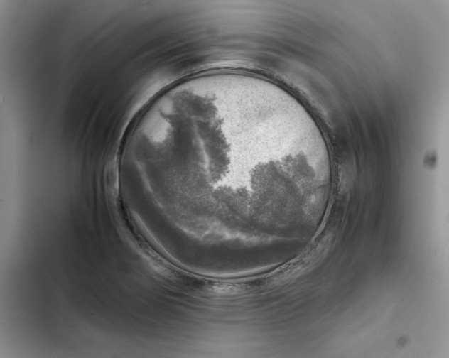 X0000102521274200808221833