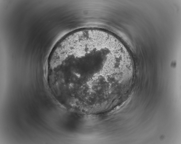 X0000102521275200808221833