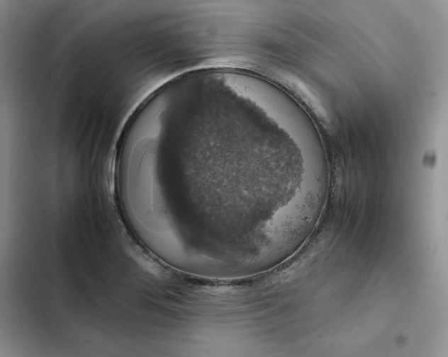 X0000102521276200808221833