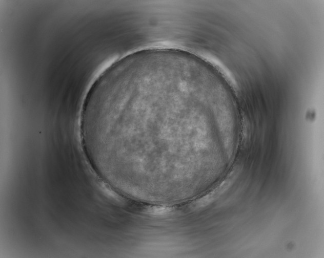 X0000102521278200808221833