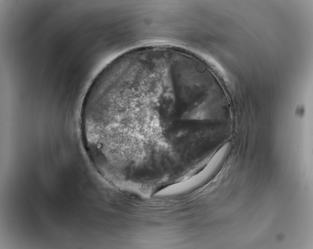 X0000102521279200808221833