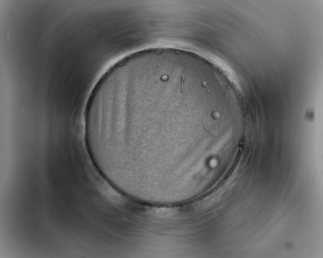 X0000102521280200808221833