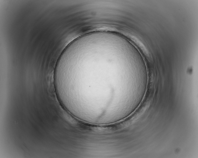 X0000102521281200808221833