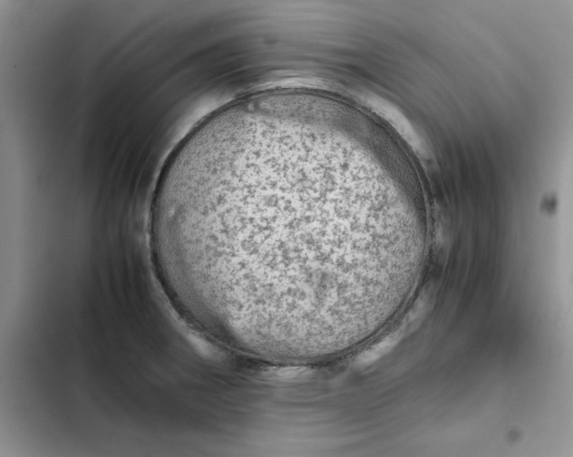 X0000102521282200808221833