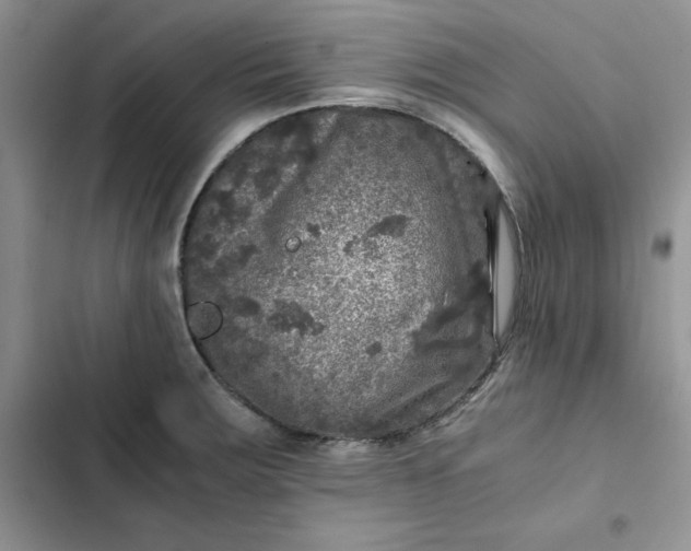 X0000102521283200808221833