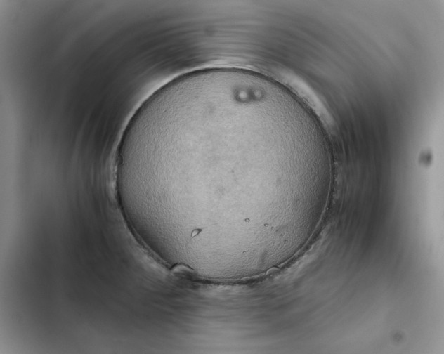 X0000102521284200808221833