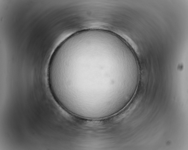 X0000102521285200808221833