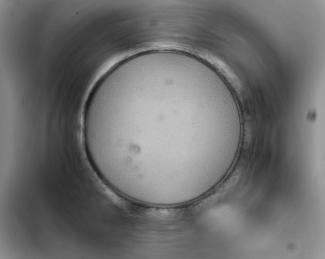 X0000102521286200808221832