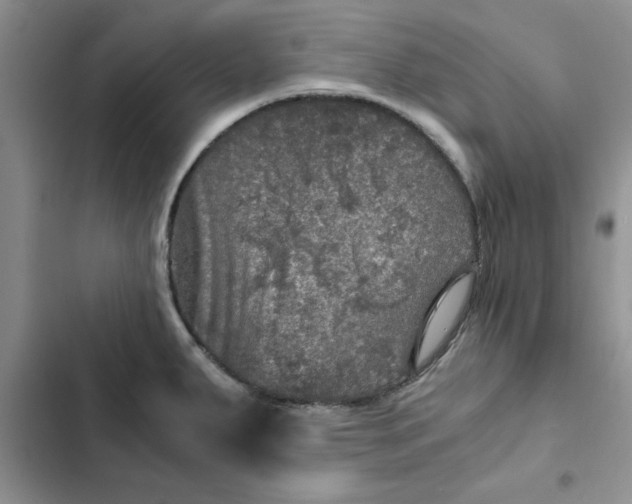 X0000102521287200808221832