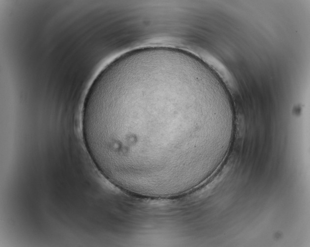 X0000102521288200808221832