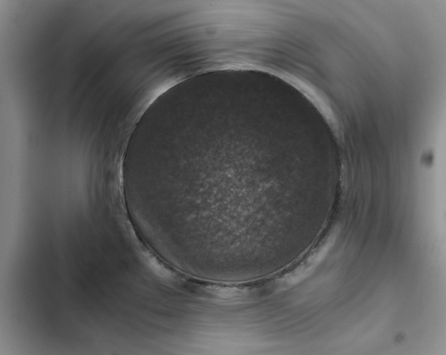 X0000102521289200808221832