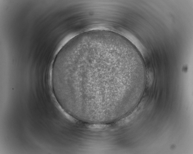 X0000102521290200808221832