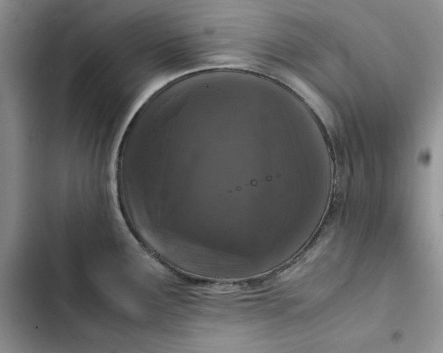 X0000102521291200808221832