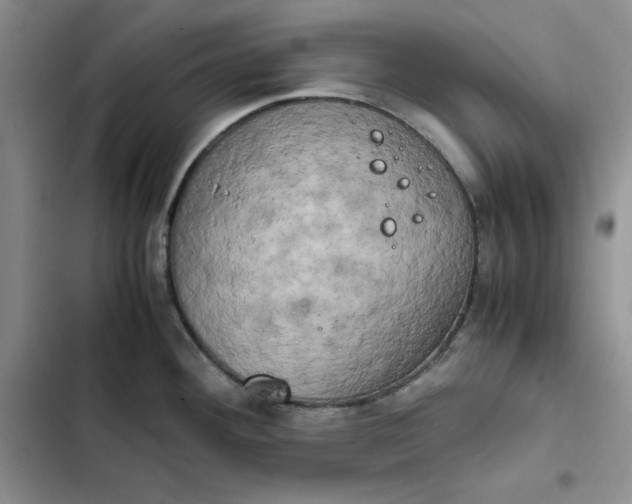 X0000102521292200808221832