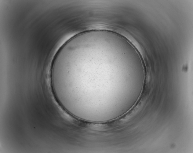 X0000102521293200808221832