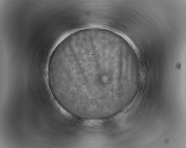 X0000102521294200808221832