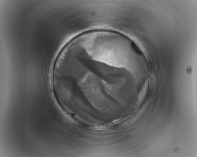 X0000102521295200808221832