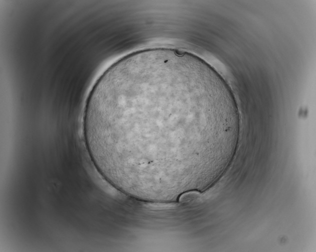 X0000102521296200808221832