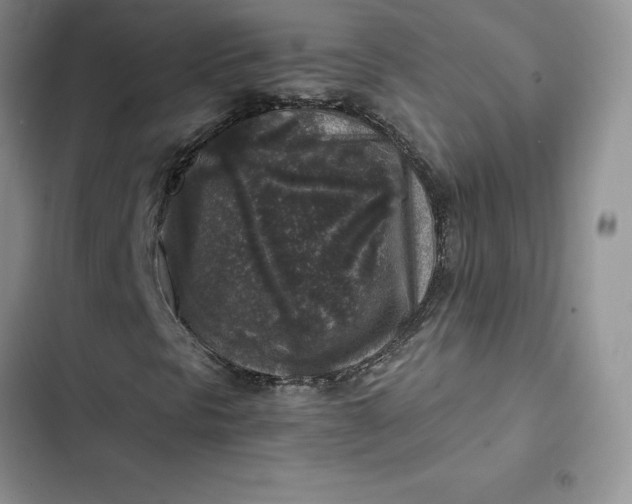 X0000102521297200808221831