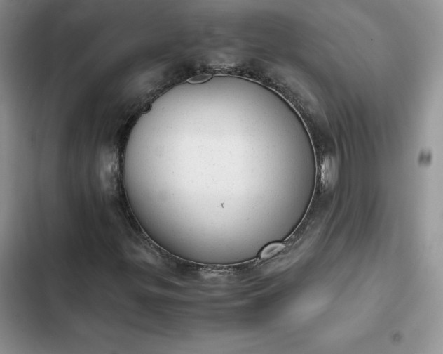 X0000102521299200808221832