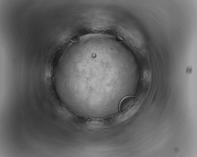 X0000102521300200808221832