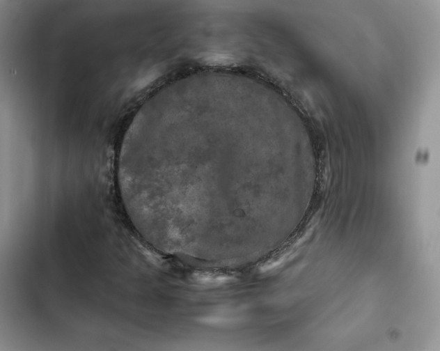 X0000102521301200808221832