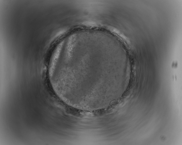 X0000102521302200808221832