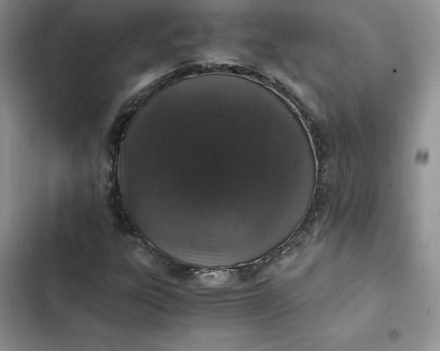 X0000102521303200808221832