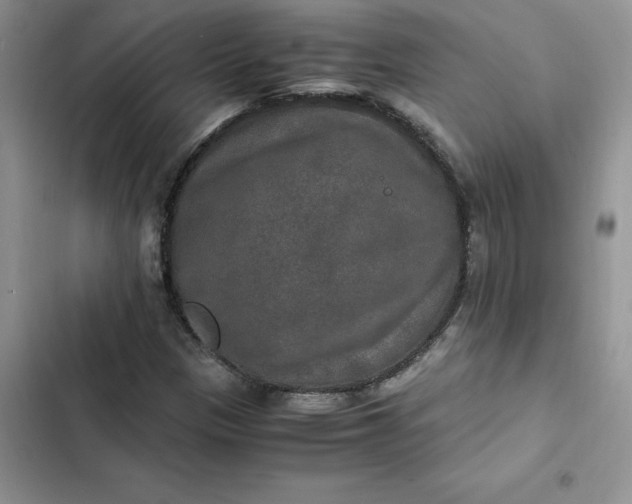 X0000102521305200808221832