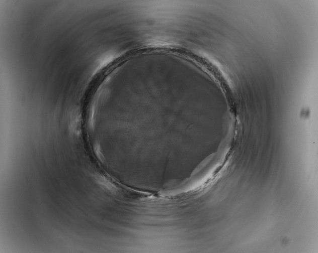 X0000102521306200808221832